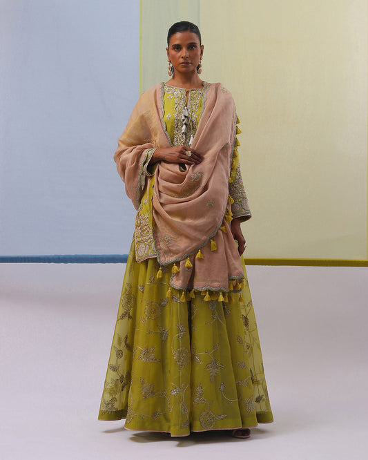 aali sharara set