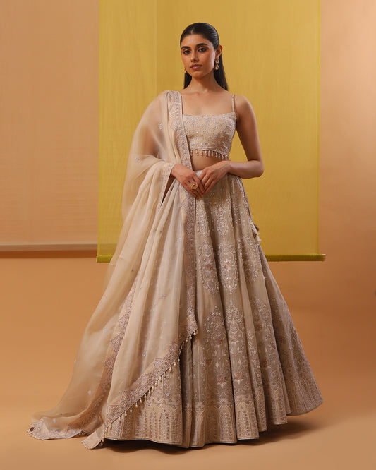 ainaz lehenga set