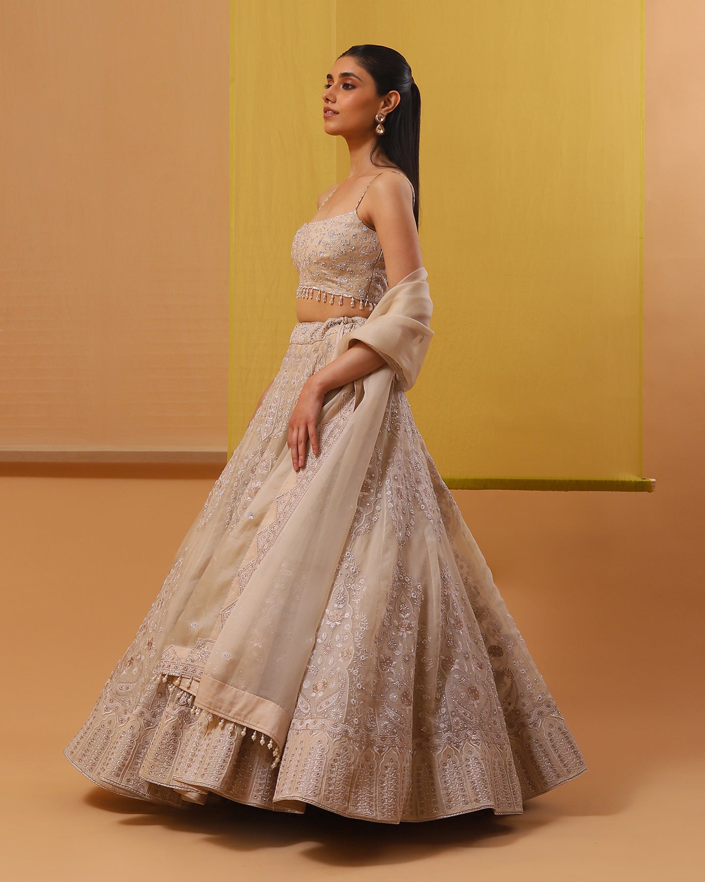 ainaz lehenga set