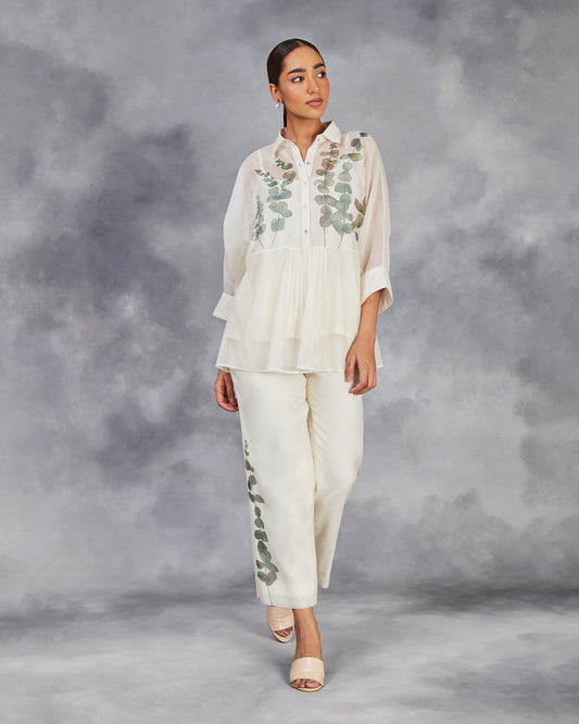 fern co ordinate set