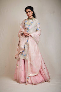 abidha sharara set