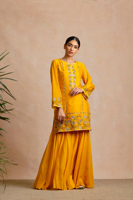 Raagini Gharara Set