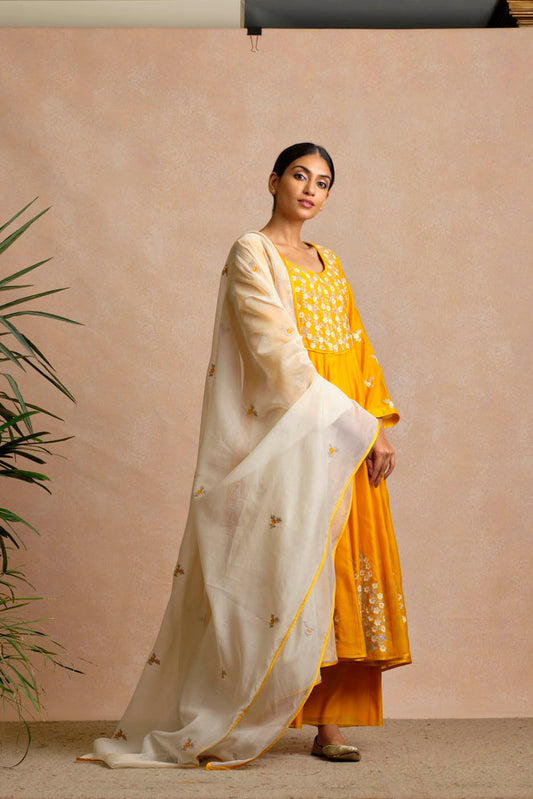 Raanu Anarkali Set