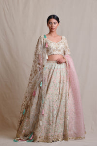 Maahnoor Lehenga Set