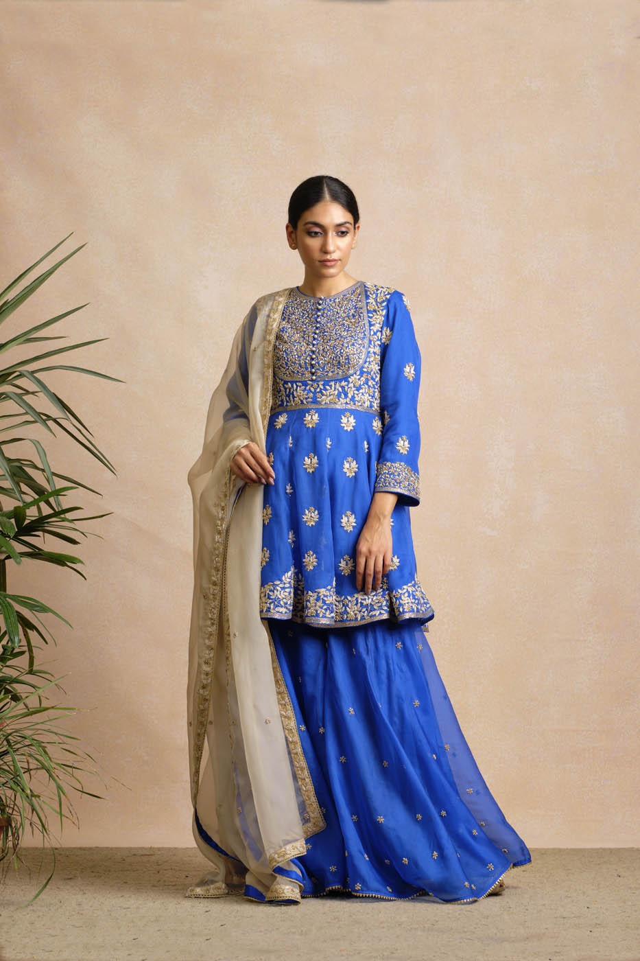 Alomika Gharara Set