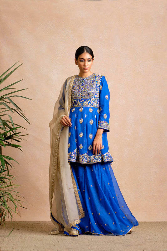 Alomika Gharara Set
