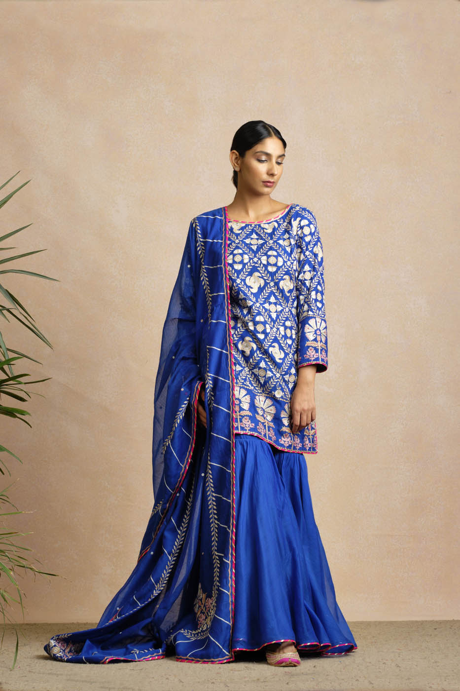 Dhuni Sharara Set