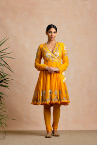 Nitara Anarkali Set