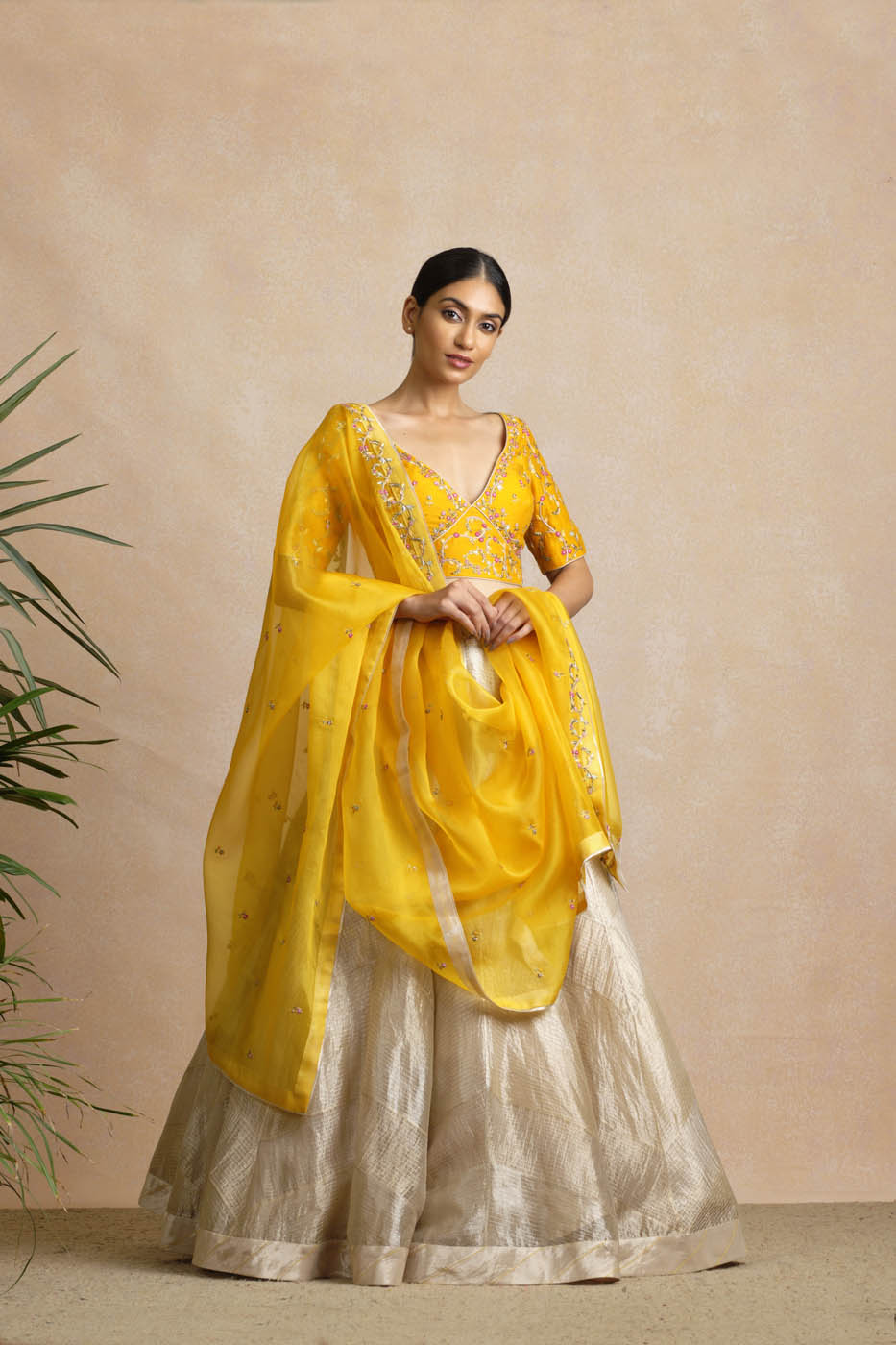 Anamitra Lehenga Set