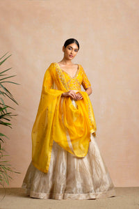 Anamitra Lehenga Set