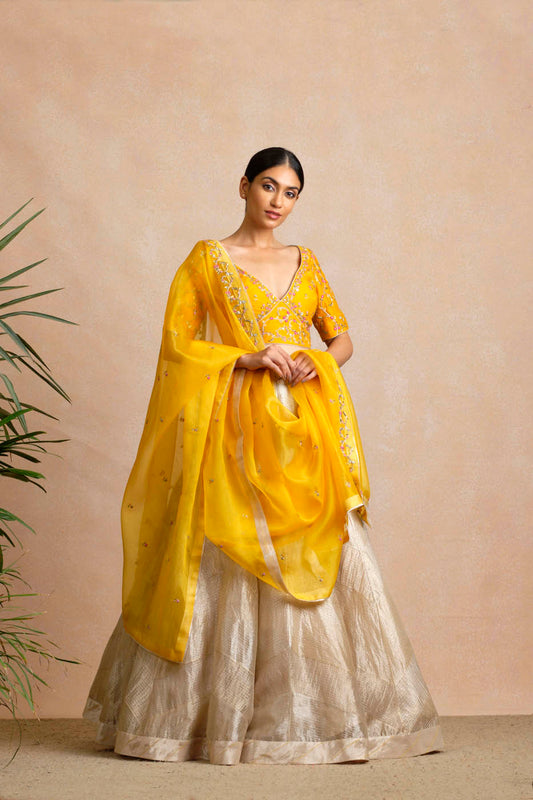 Anamitra Lehenga Set