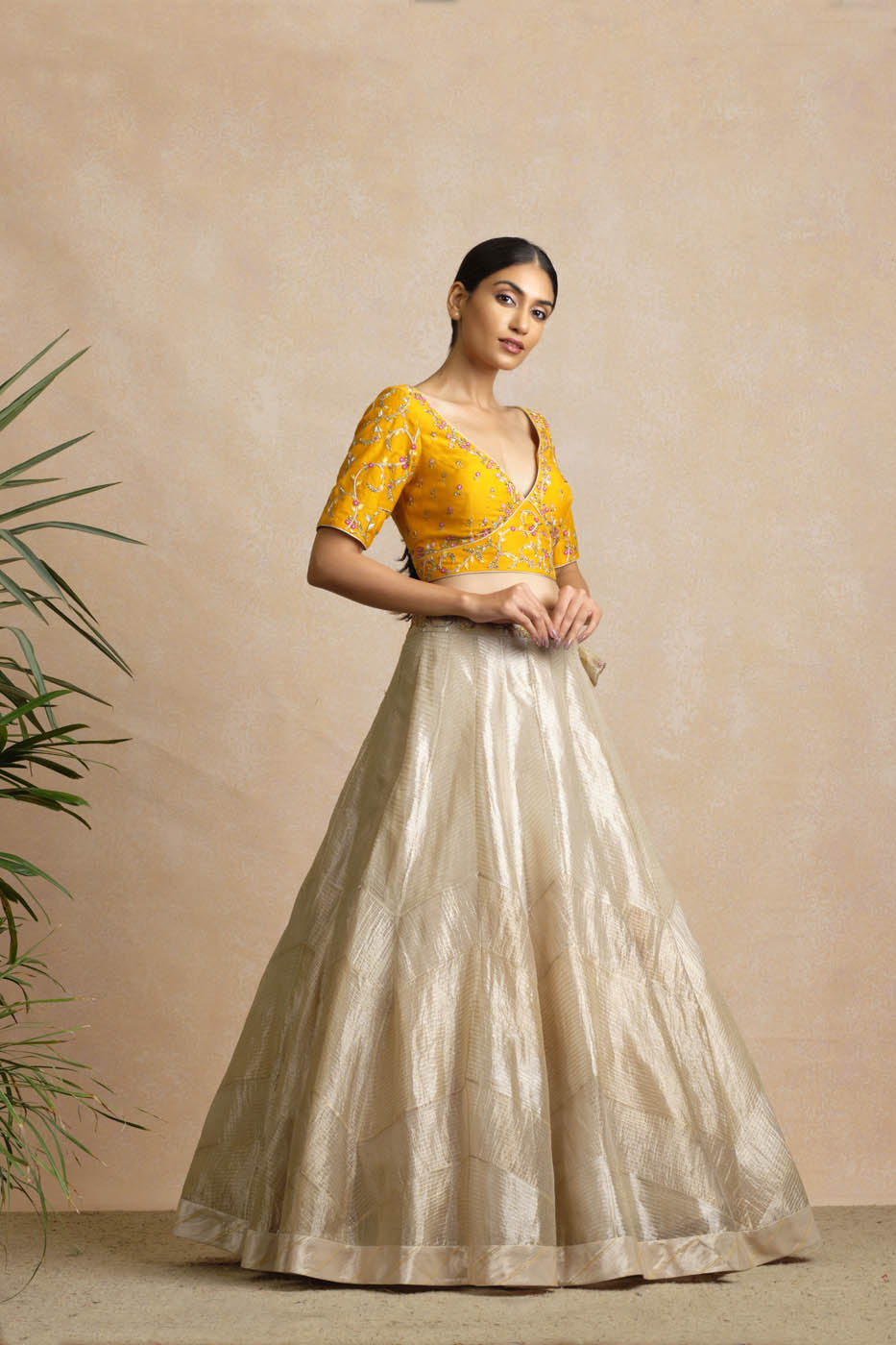 Anamitra Lehenga Set
