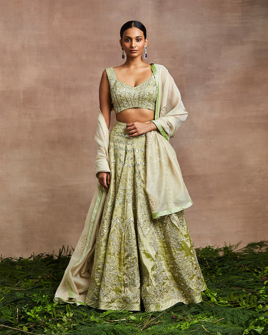 shamsia lehenga set green