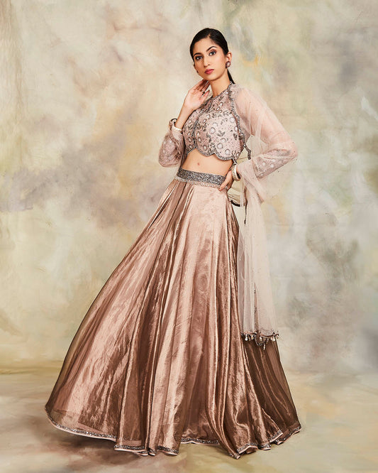 sayali lehenga set