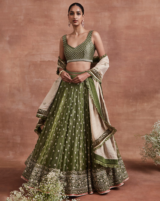 dharini lehenga set olive beige