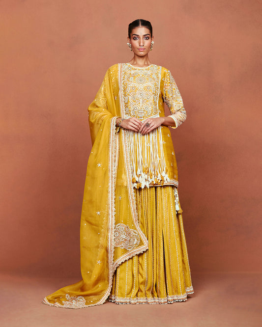 Roshni Sharara Set
