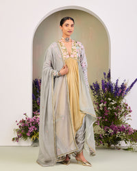 Parisa Long Anarkali Set