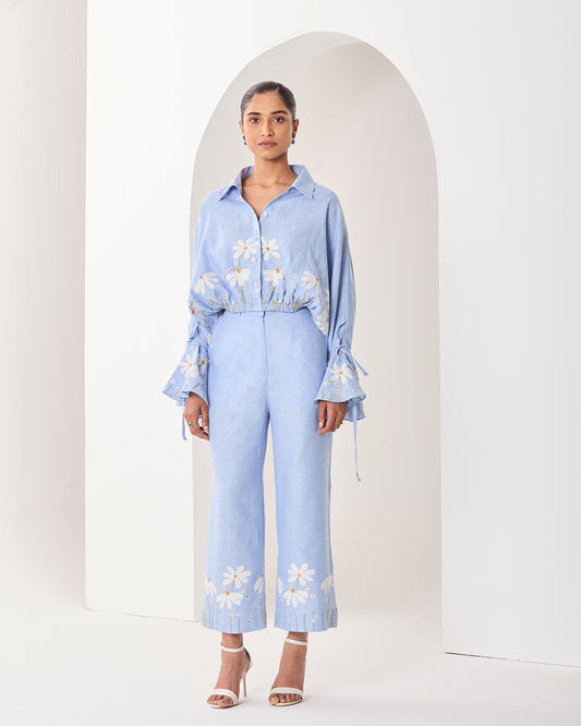 Iris Co ordinate Set