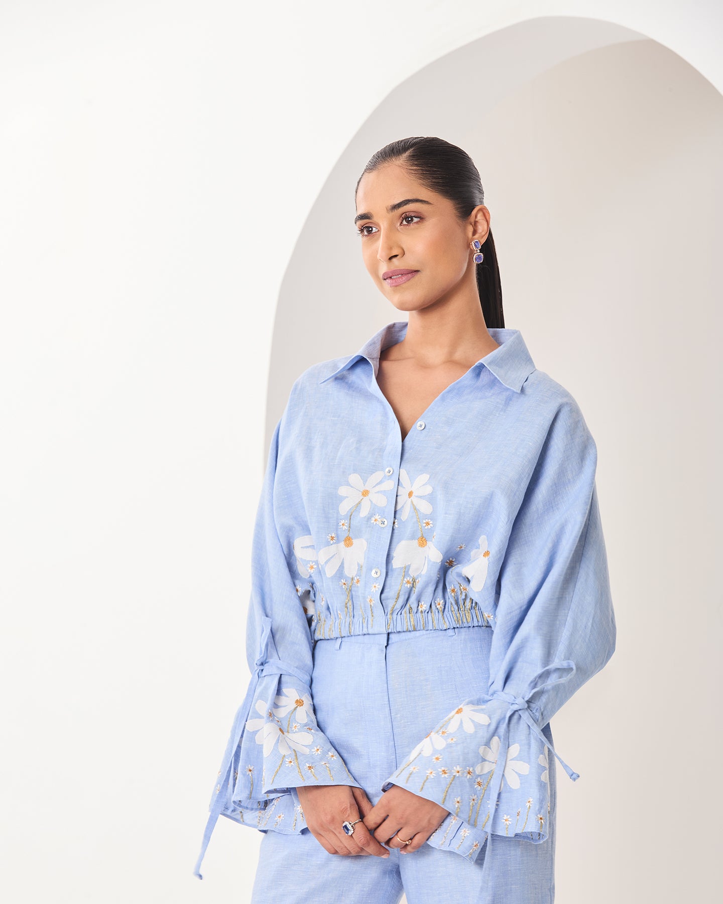 iris co ordinate set