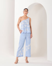 gaia co ordinate set
