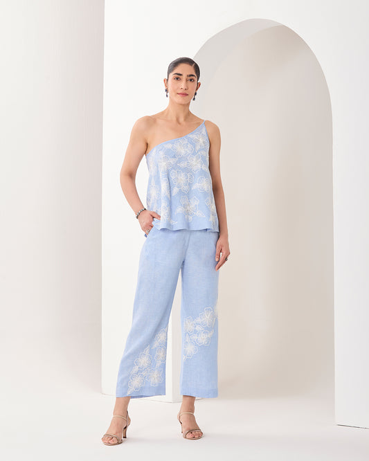 Gaia Co ordinate Set